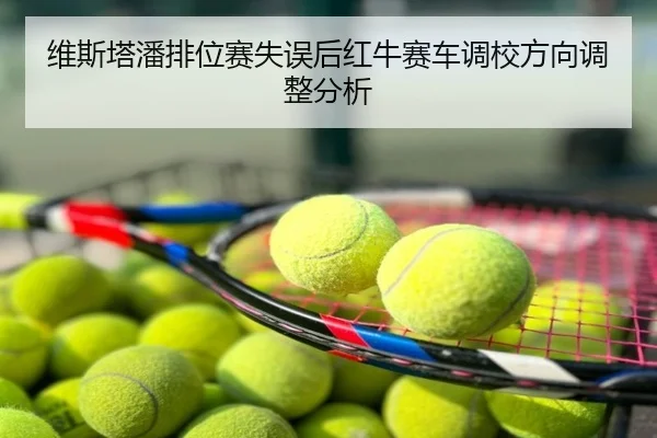 维斯塔潘排位赛失误后红牛赛车调校方向调整分析